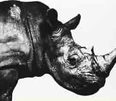 【CD　まとめ売り】　Mr. Children（ミスター・チルドレン）　12枚 ミスター・チルドレン Mr.Children ミスチル ￼まとめ売り CD